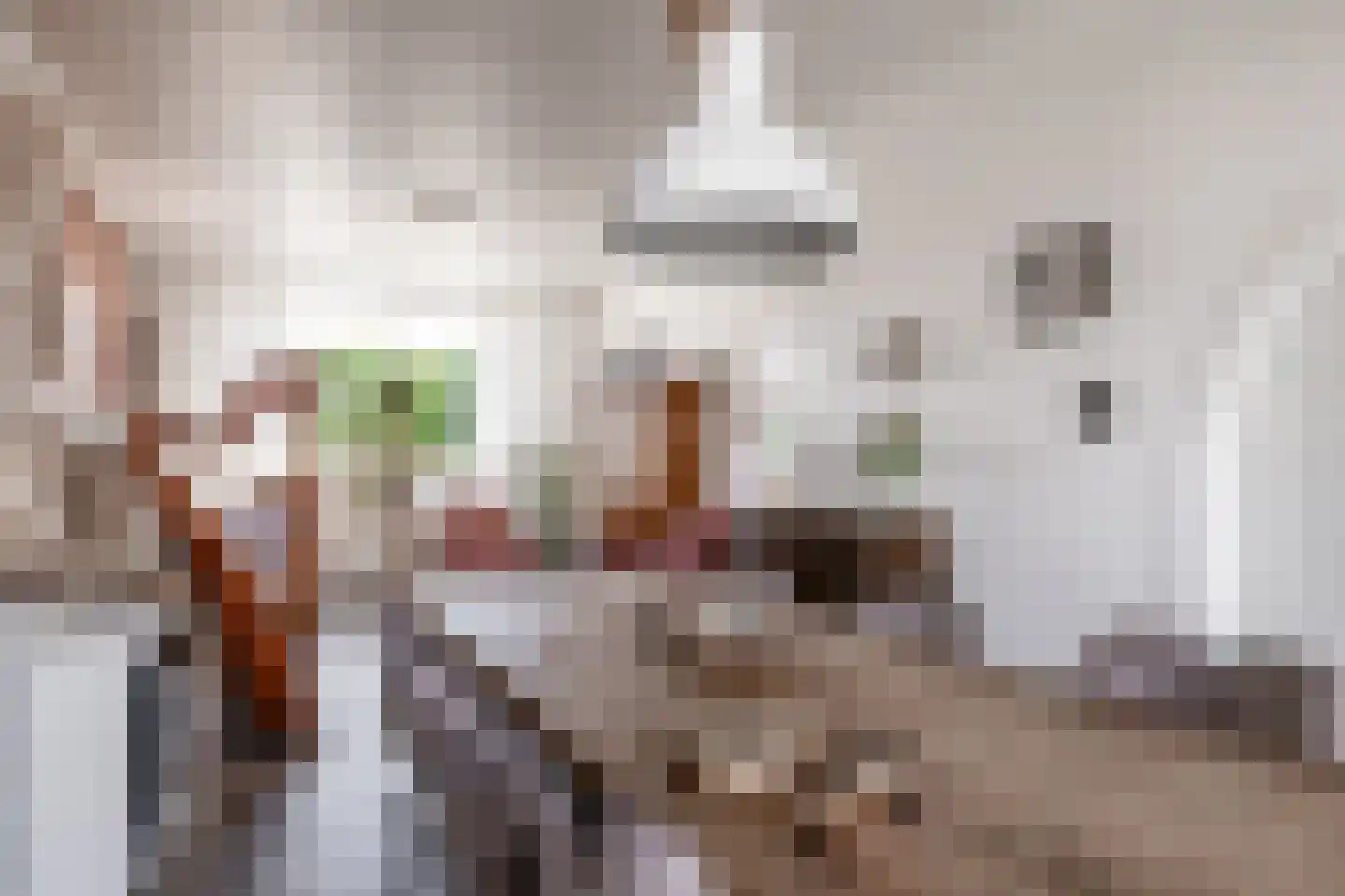 Kastanjelaan 20 Zwanenburg thumbnail 17