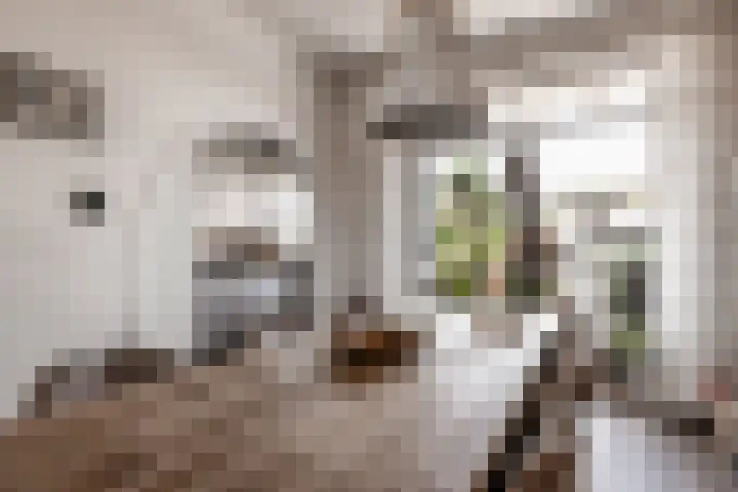 Kastanjelaan 20 Zwanenburg thumbnail 18