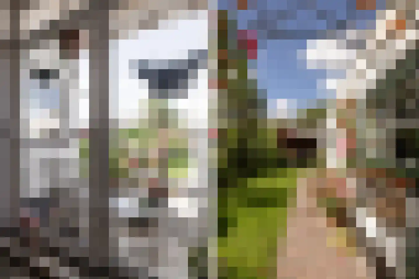 Kastanjelaan 20 Zwanenburg thumbnail 19