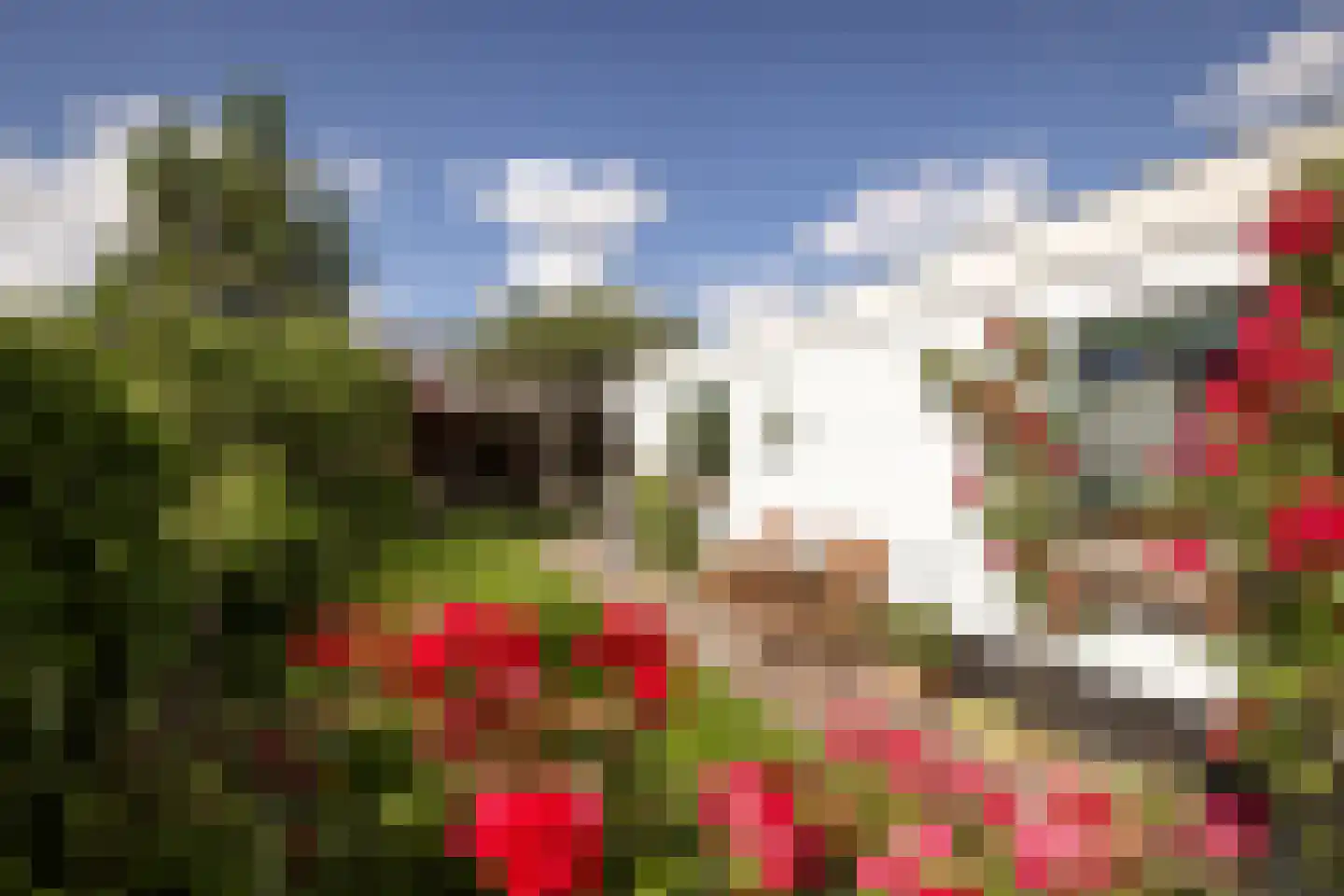 Kastanjelaan 20 Zwanenburg thumbnail 25