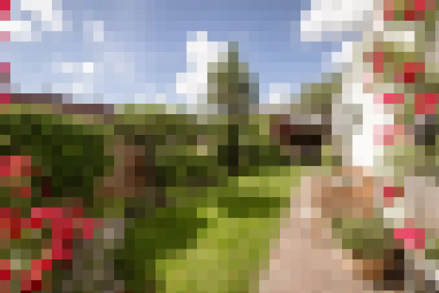 Kastanjelaan 20 Zwanenburg thumbnail 26