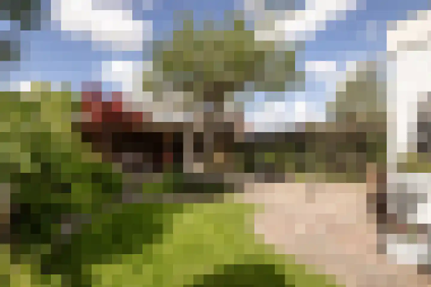 Kastanjelaan 20 Zwanenburg thumbnail 28