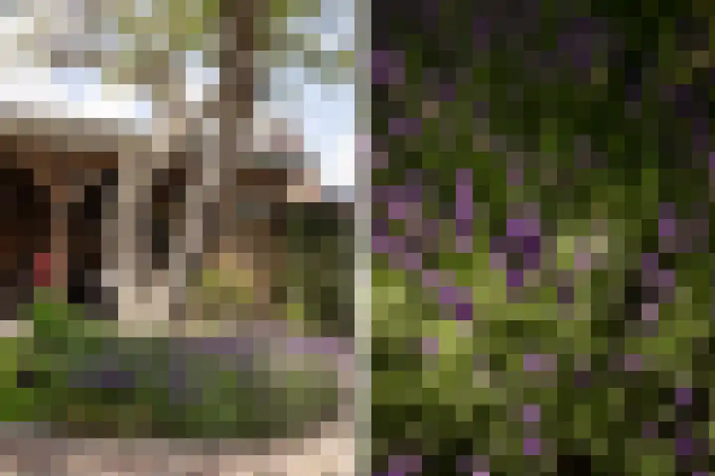 Kastanjelaan 20 Zwanenburg thumbnail 29