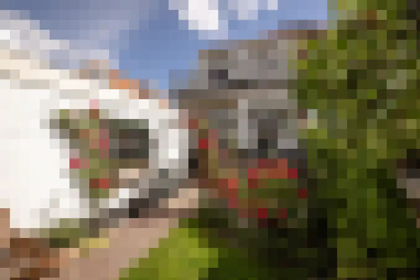 Kastanjelaan 20 Zwanenburg thumbnail 30