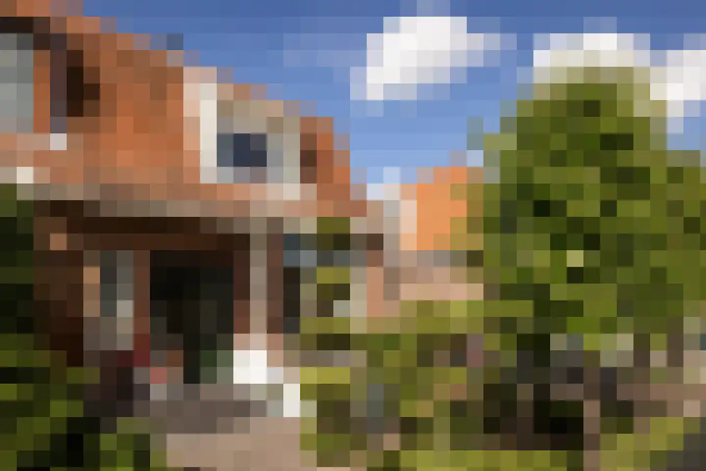 Kastanjelaan 20 Zwanenburg thumbnail 4