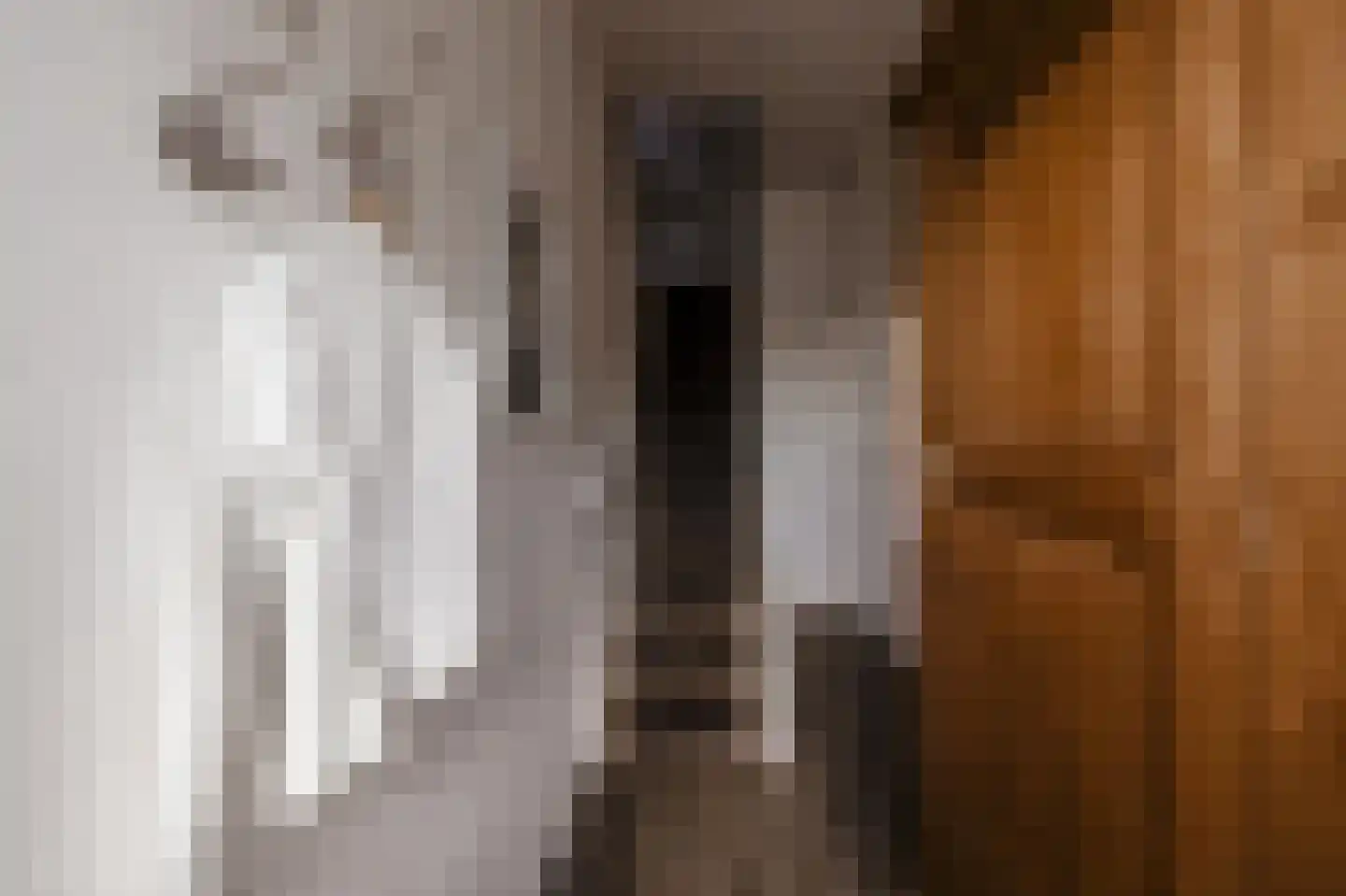 Kastanjelaan 20 Zwanenburg thumbnail 7