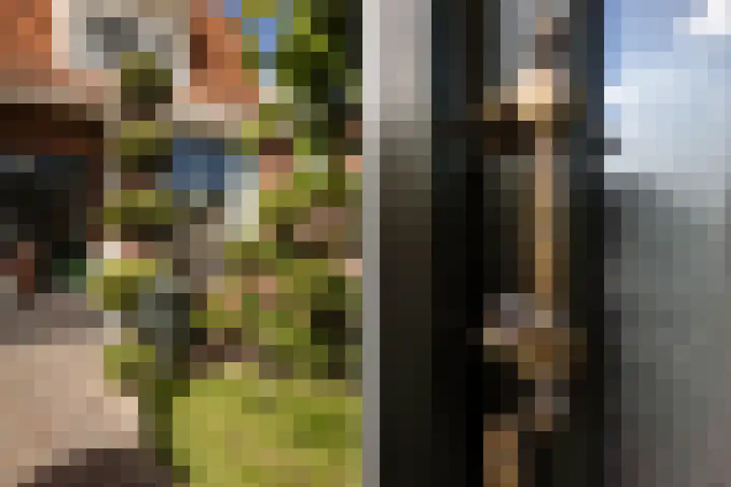Kastanjelaan 20 Zwanenburg thumbnail 7
