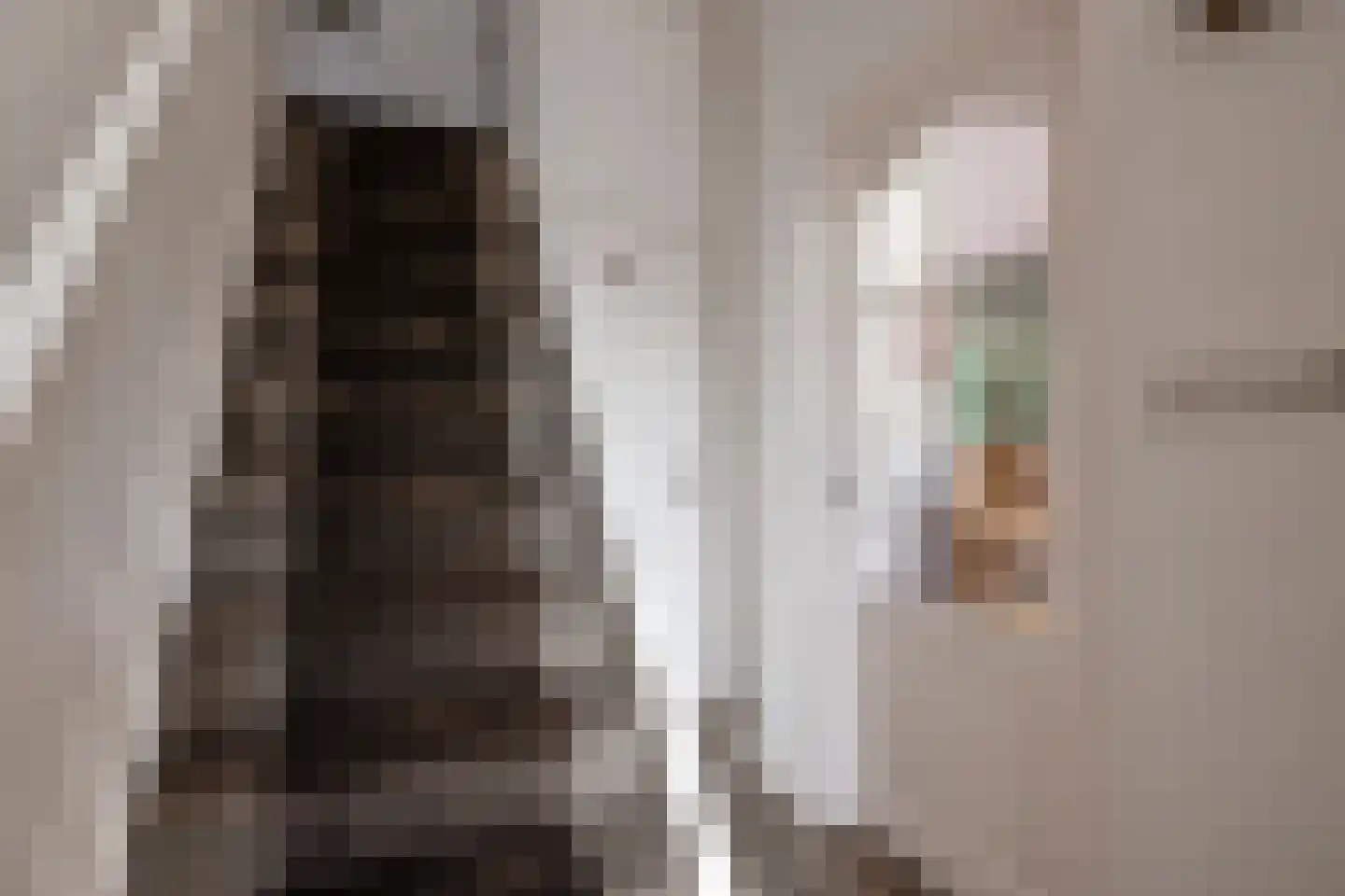Kastanjelaan 20 Zwanenburg thumbnail 9