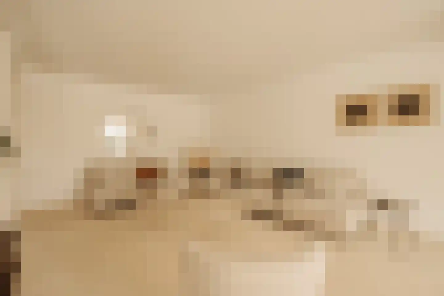 Kastanjelaan 209 Amstelveen thumbnail 15
