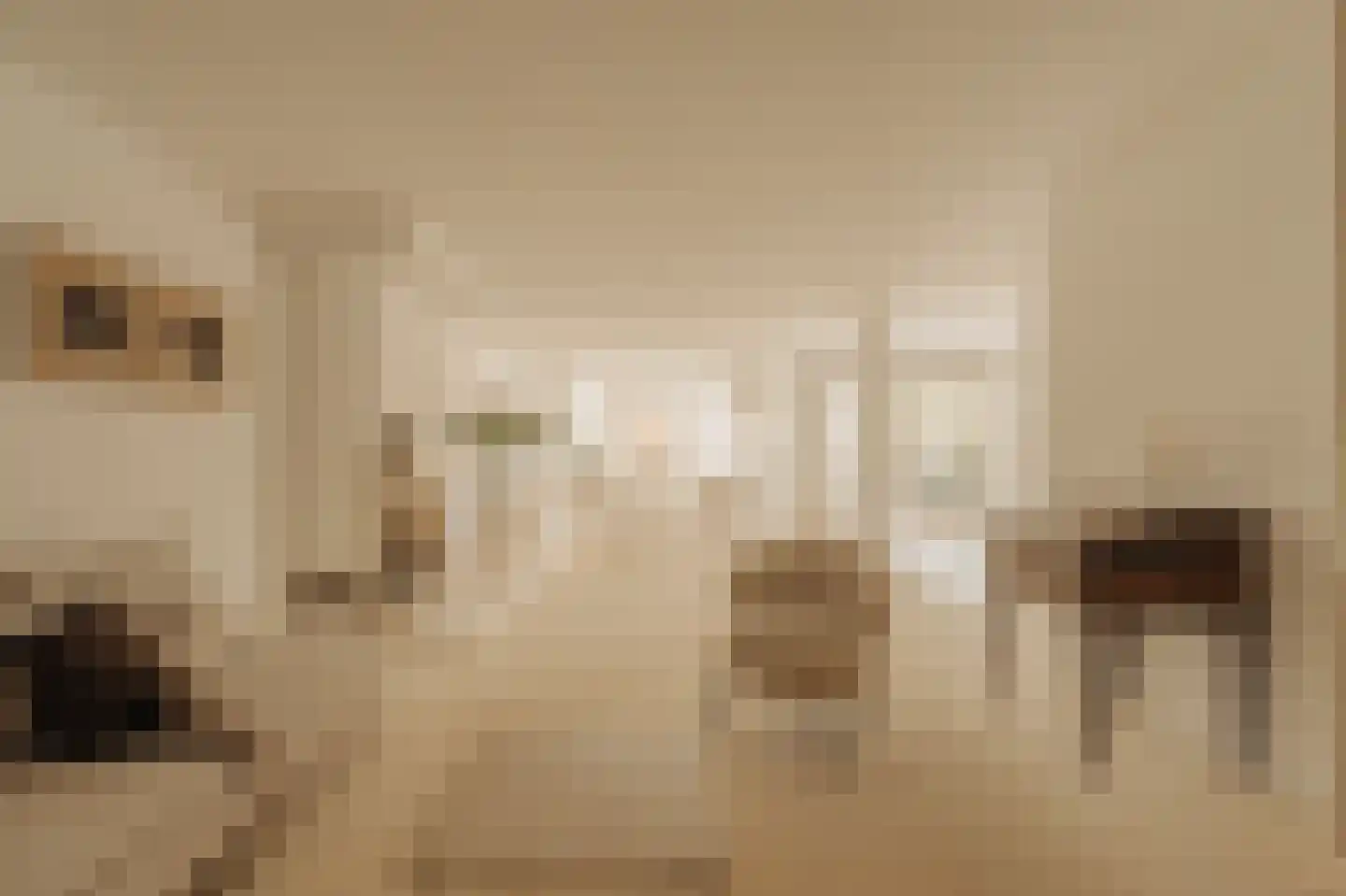 Kastanjelaan 209 Amstelveen thumbnail 16