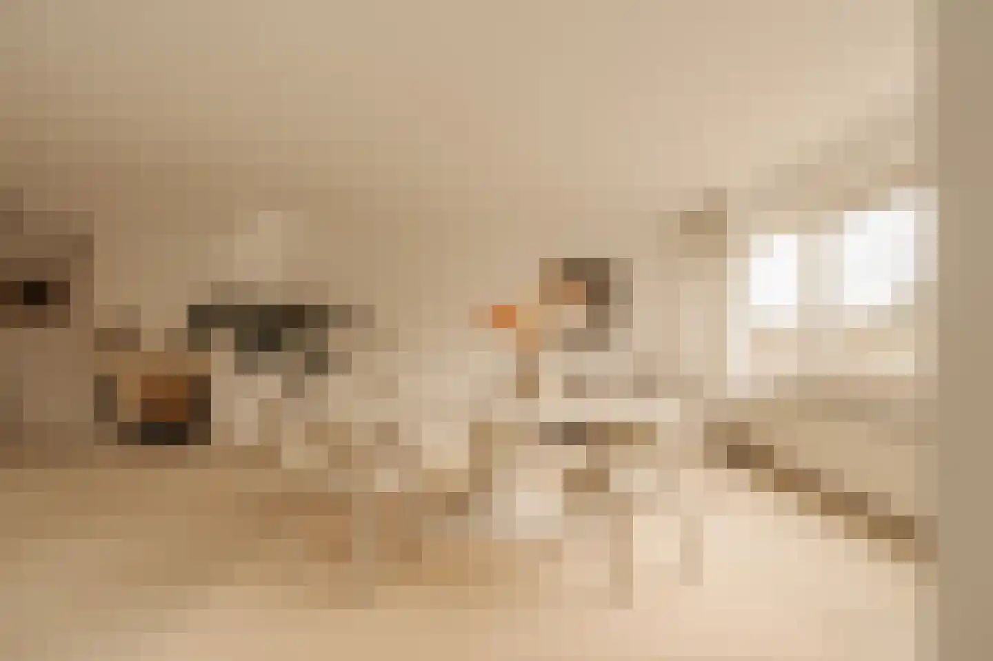 Kastanjelaan 209 Amstelveen thumbnail 5