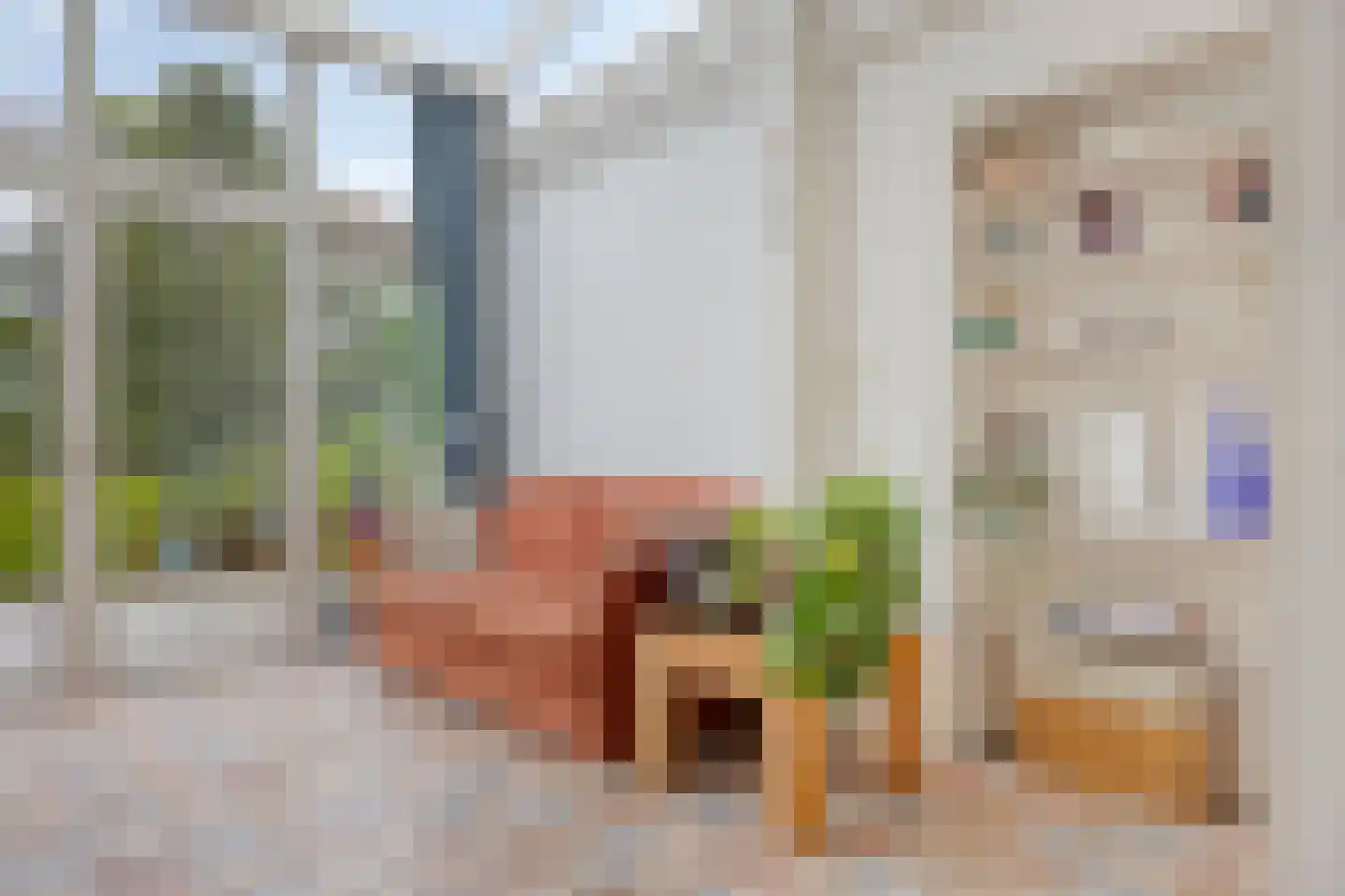 Kastanjelaan 21 Arnhem thumbnail 14