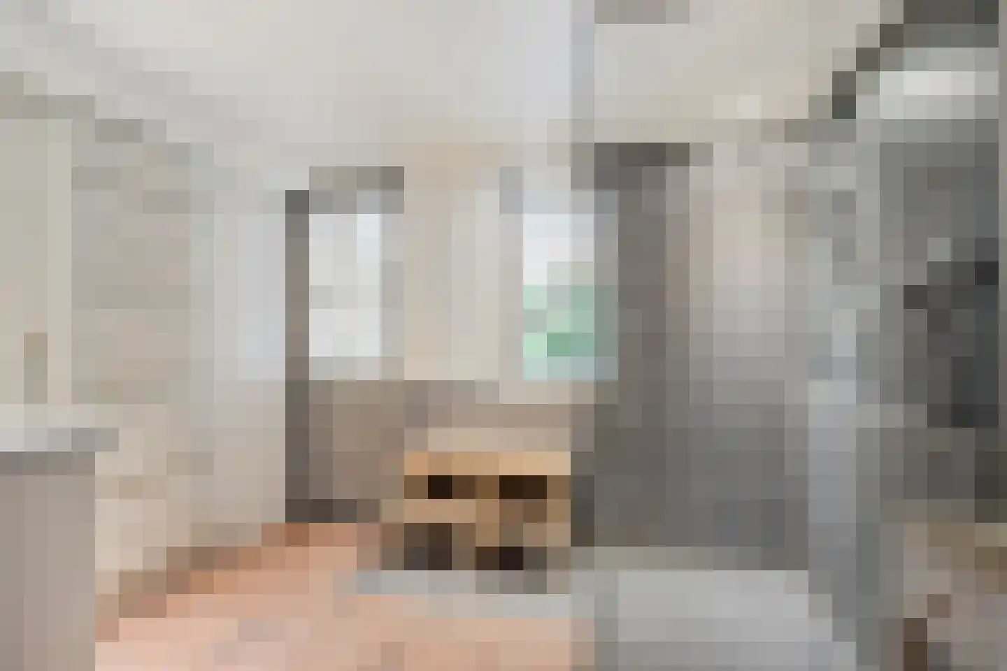 Kastanjelaan 21 Arnhem thumbnail 26