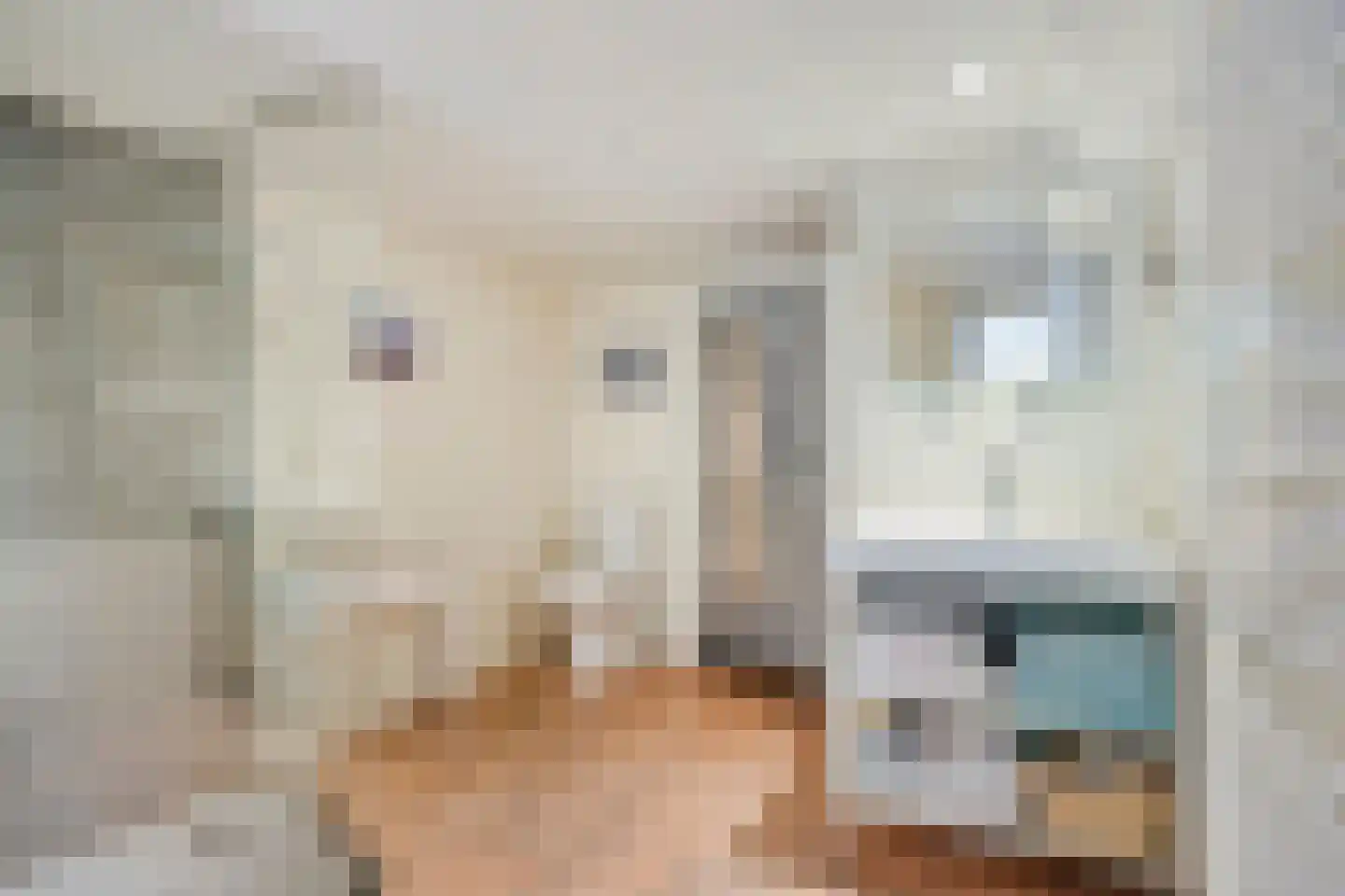Kastanjelaan 21 Arnhem thumbnail 27