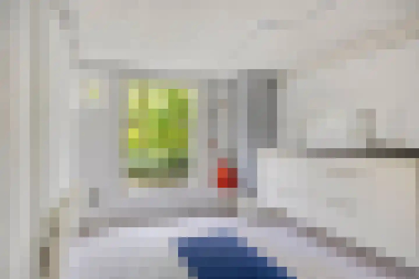 Kastanjelaan 21 Arnhem thumbnail 28