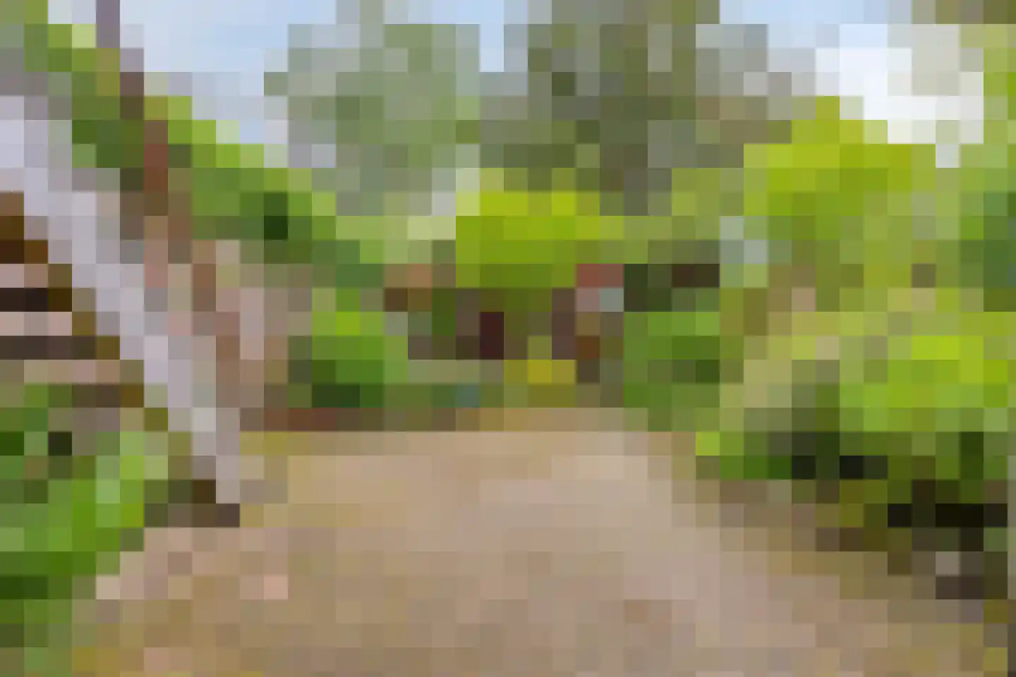 Kastanjelaan 21 Arnhem thumbnail 36