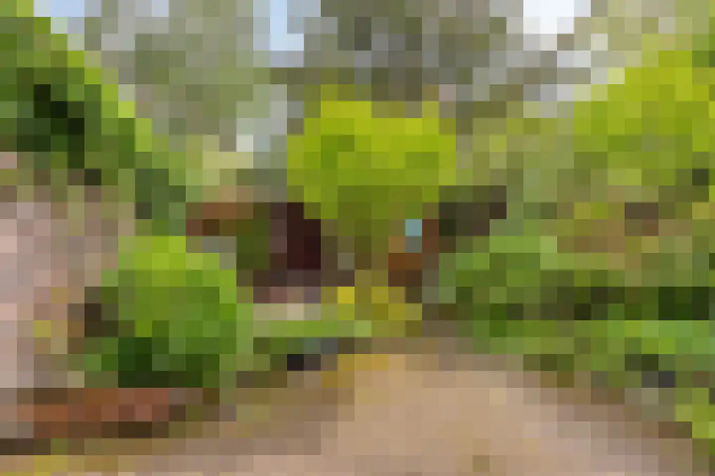 Kastanjelaan 21 Arnhem thumbnail 38