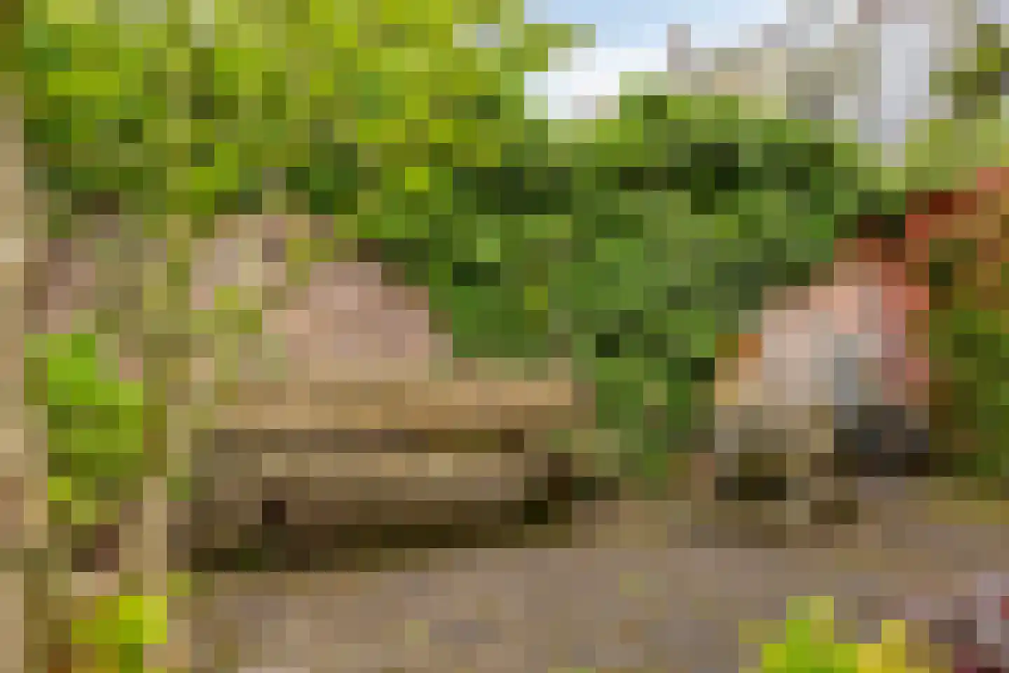Kastanjelaan 21 Arnhem thumbnail 39