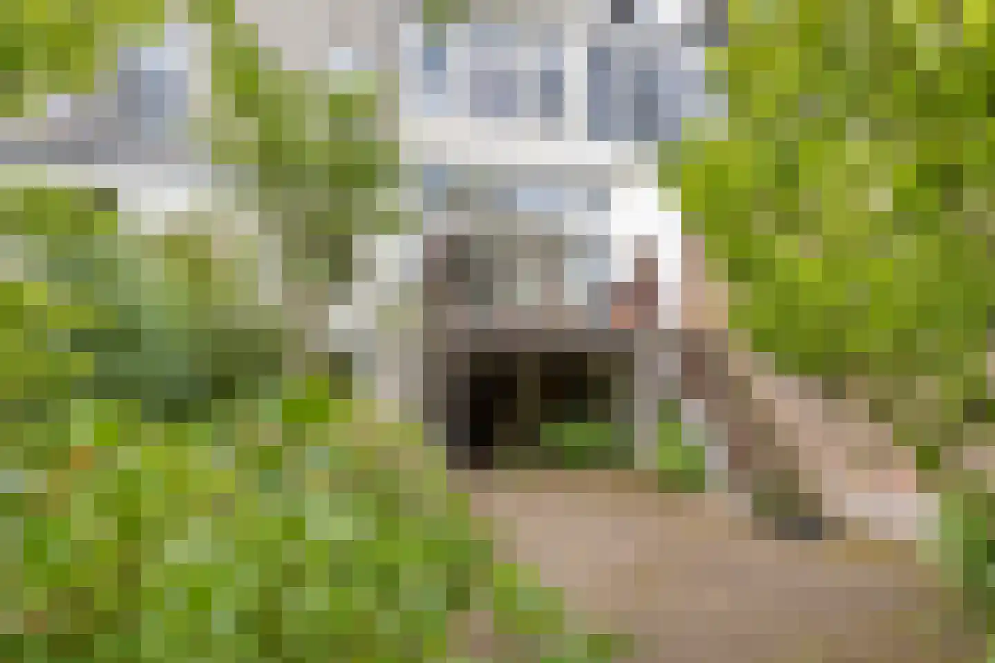 Kastanjelaan 21 Arnhem thumbnail 40