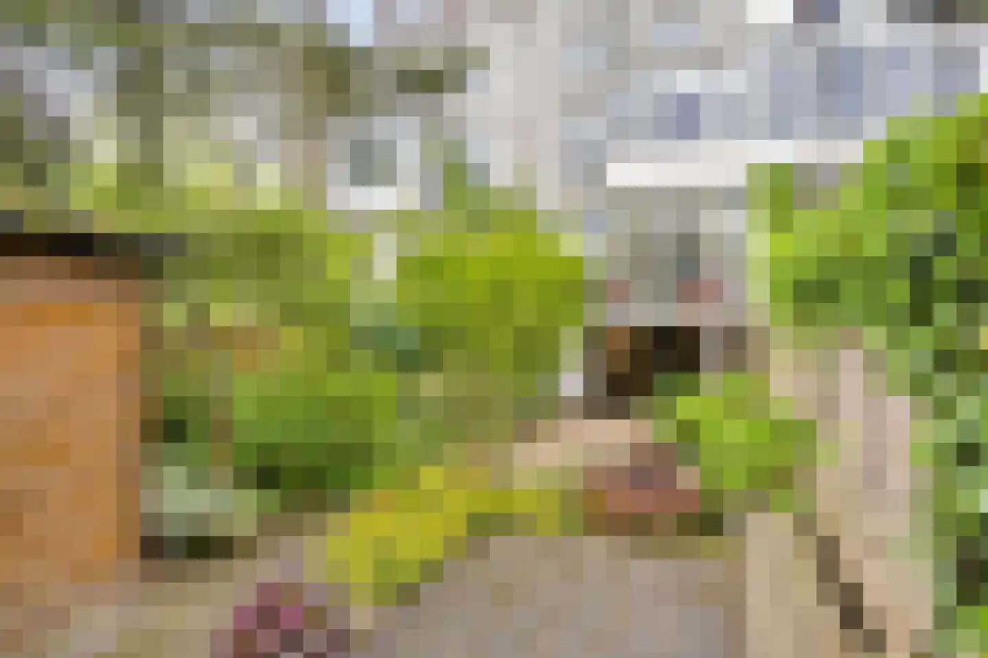 Kastanjelaan 21 Arnhem thumbnail 41