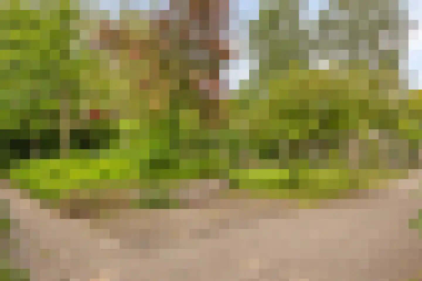 Kastanjelaan 21 Arnhem thumbnail 44