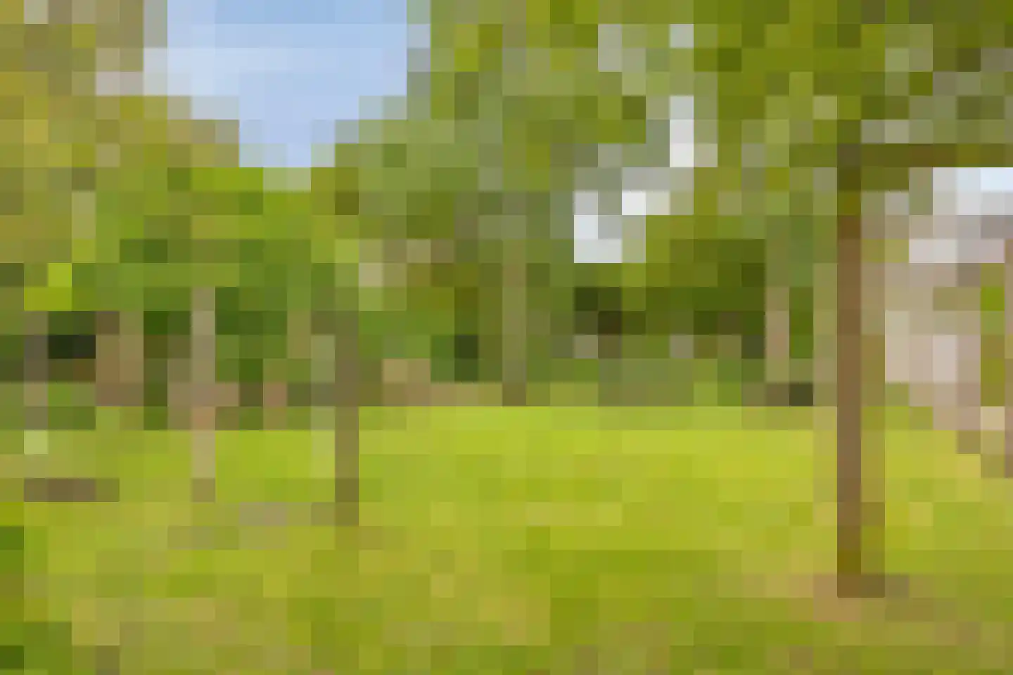 Kastanjelaan 21 Arnhem thumbnail 45