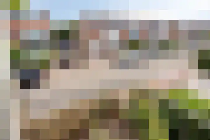 Kastanjelaan 22 Harmelen thumbnail 23