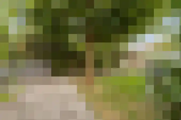 Kastanjelaan 22 Harmelen thumbnail 28