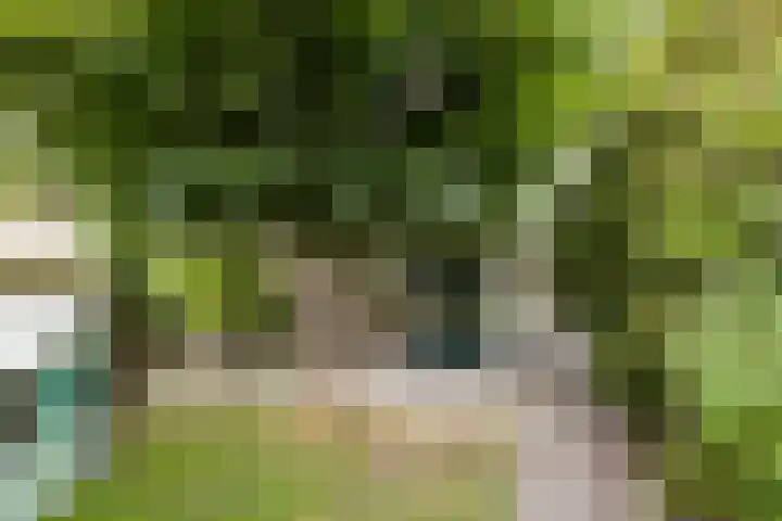 Kastanjelaan 22 Harmelen thumbnail 29