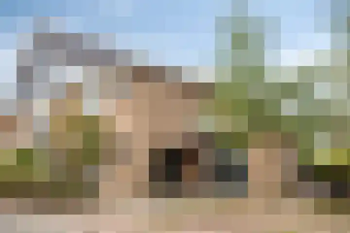 Kastanjelaan 22 Harmelen thumbnail 30