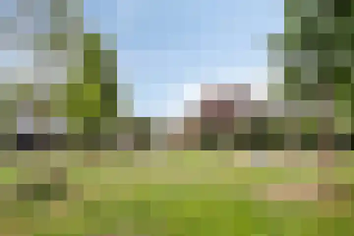 Kastanjelaan 22 Harmelen thumbnail 35