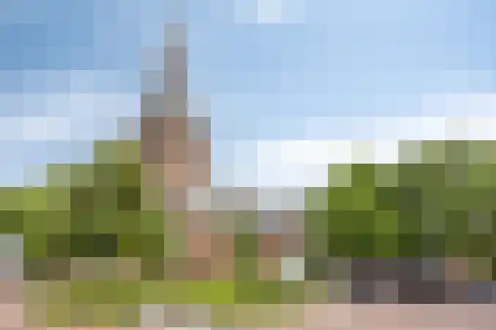 Kastanjelaan 22 Harmelen thumbnail 36