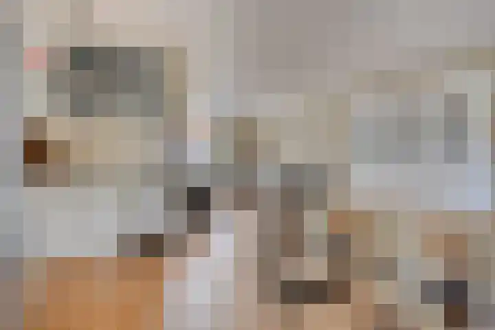 Kastanjelaan 22 Harmelen thumbnail 6