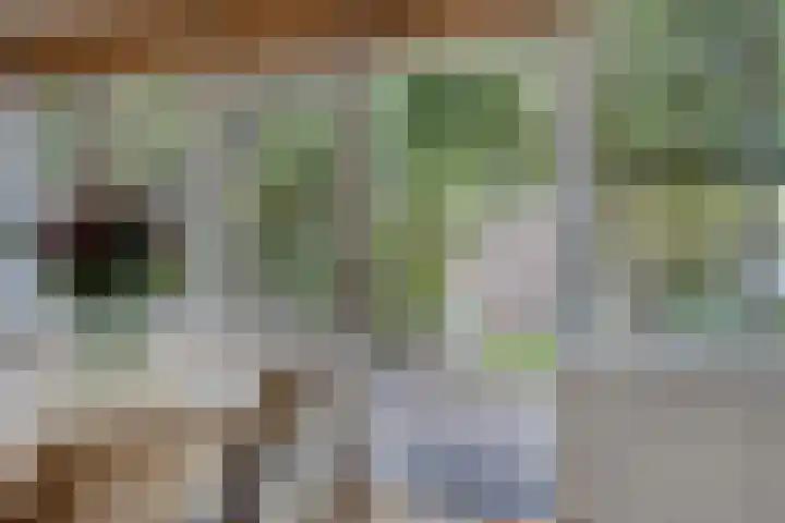 Kastanjelaan 22 Harmelen thumbnail 9