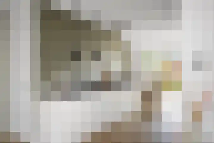 Kastanjelaan 22 Lochem thumbnail 10