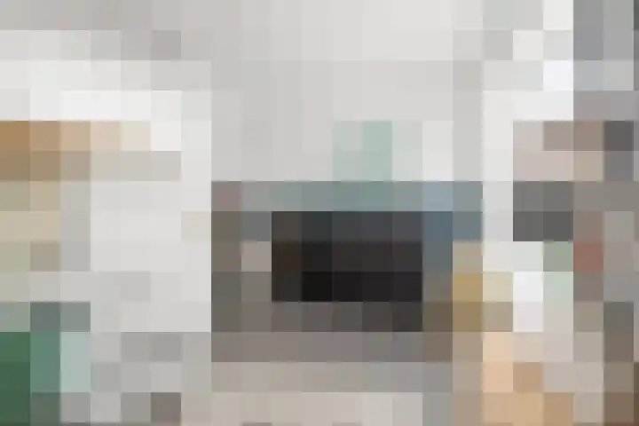 Kastanjelaan 22 Lochem thumbnail 25