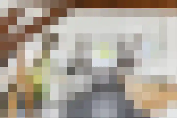 Kastanjelaan 22 Lochem thumbnail 31