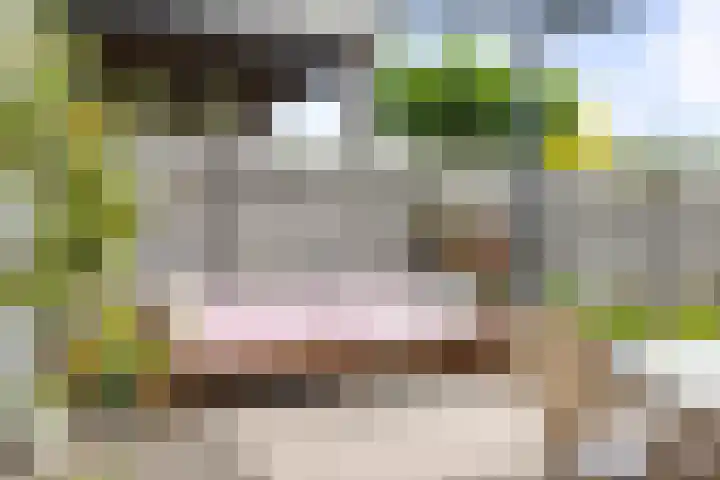 Kastanjelaan 22 Lochem thumbnail 42