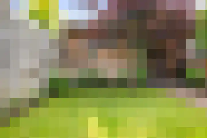 Kastanjelaan 22 Lochem thumbnail 43