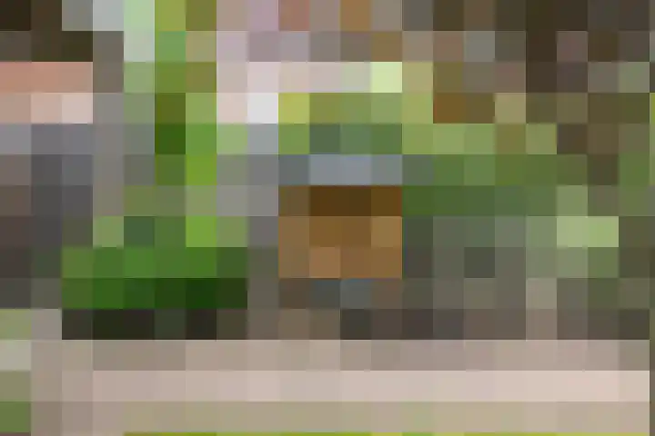 Kastanjelaan 22 Lochem thumbnail 45