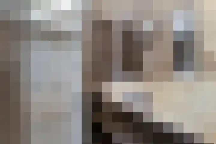 Kastanjelaan 22 Meppel thumbnail 16