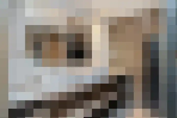 Kastanjelaan 22 Meppel thumbnail 17