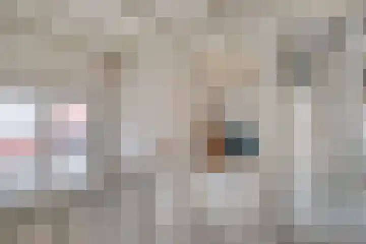 Kastanjelaan 22 Meppel thumbnail 20