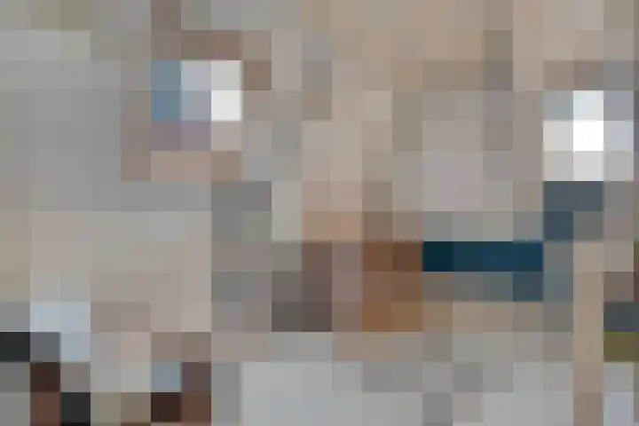 Kastanjelaan 22 Meppel thumbnail 28
