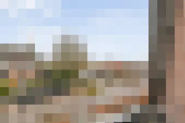 Kastanjelaan 22 Meppel thumbnail 30