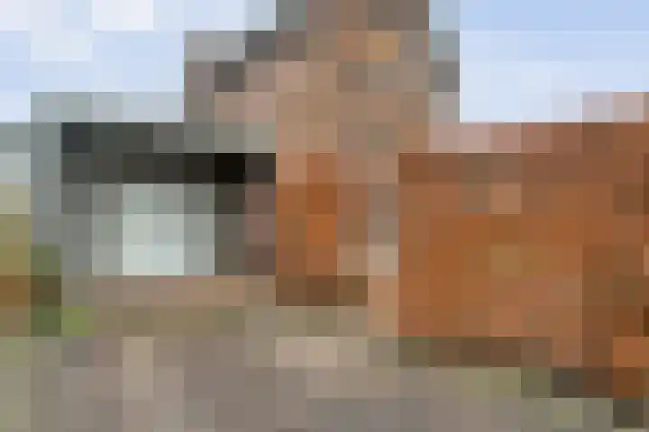 Kastanjelaan 22 Meppel thumbnail 34