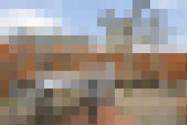 Kastanjelaan 22 Meppel thumbnail 36