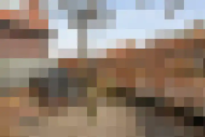 Kastanjelaan 22 Meppel thumbnail 37
