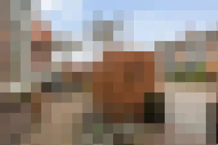 Kastanjelaan 22 Meppel thumbnail 38