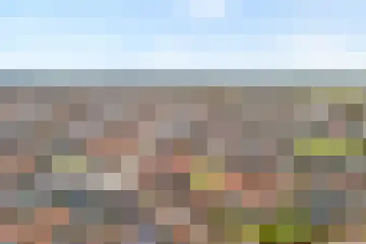 Kastanjelaan 22 Meppel thumbnail 4